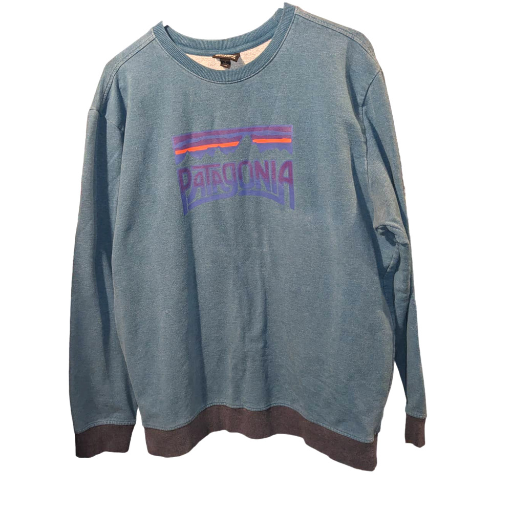 Patagonia sweatshirt organic cotton 'Fitz Roy Frostbite'